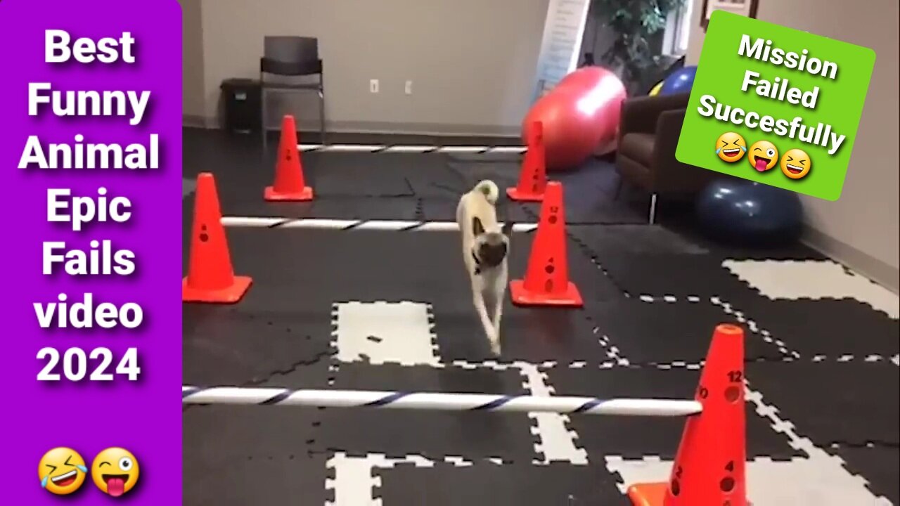 Funiest Epic Fails part-3 AnimalFails, FunnyFails, EpicFails, FunnyVideo