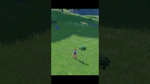 run boy run - Pokémon Scarlet and Violet