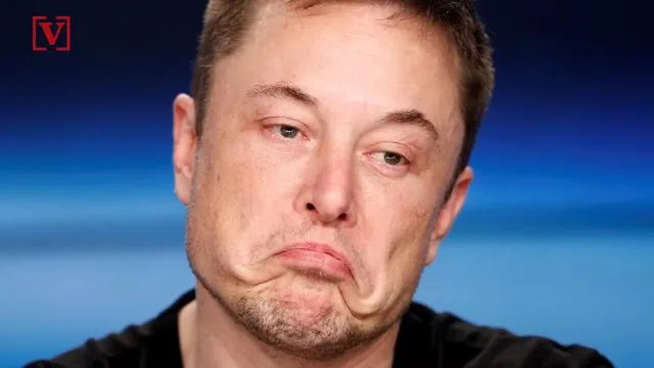 Elon Musk is Stupid