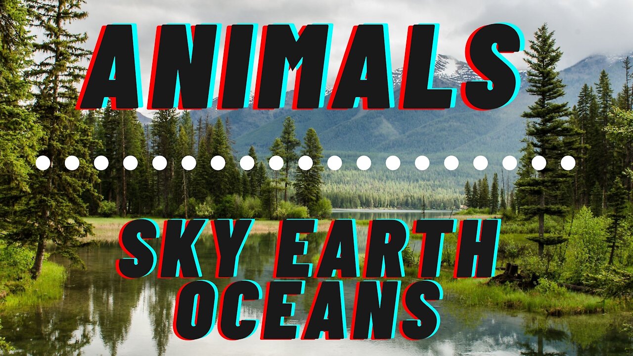 Animals Sky Earth Oceans