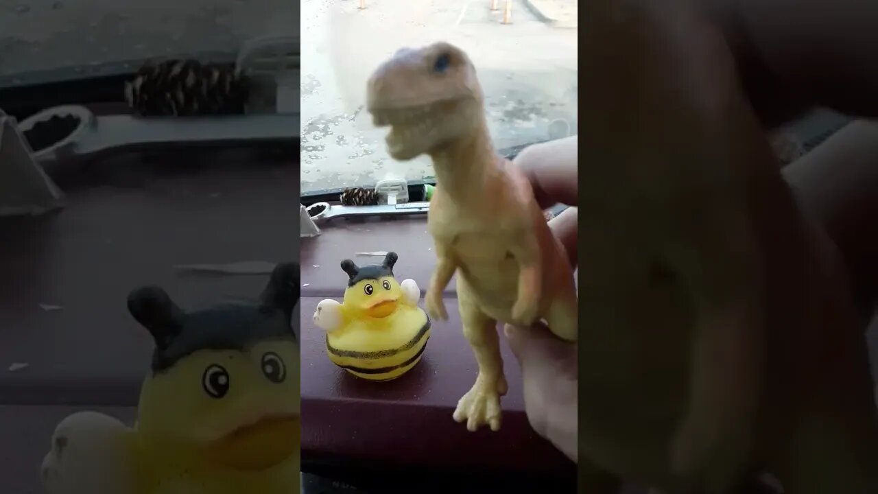 van adventures in the AM times #shorts