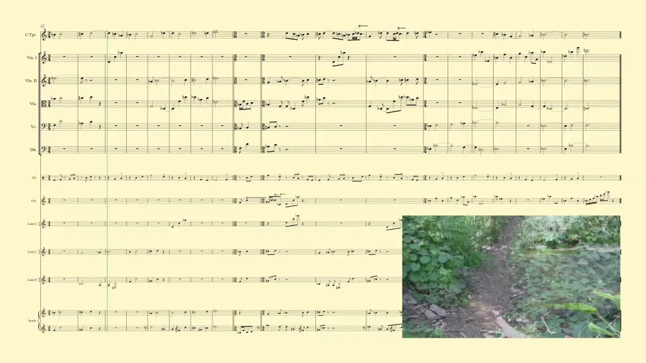 R. Burdick's Op. 259 No. 4 Bidwell Park, Chico California music for trumpet, strings and videotape