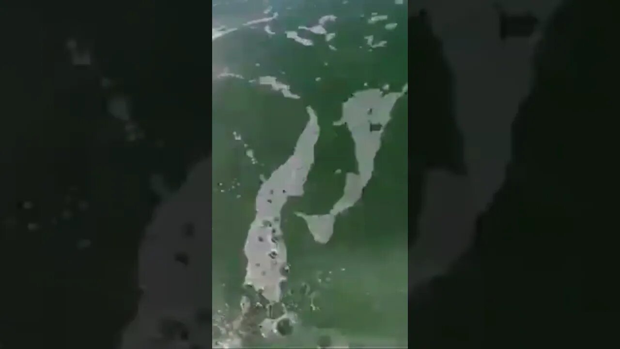 Liquid Playground. #jellyfish #ocean #surfersshort #pov #surf