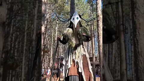 Moments At Electric Forest That Felt Unreal Video By Spaceykris #Shorts