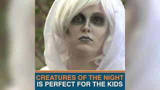 Celebrate Halloween at Lowry Park Zoo | Taste and See Tampa Bay