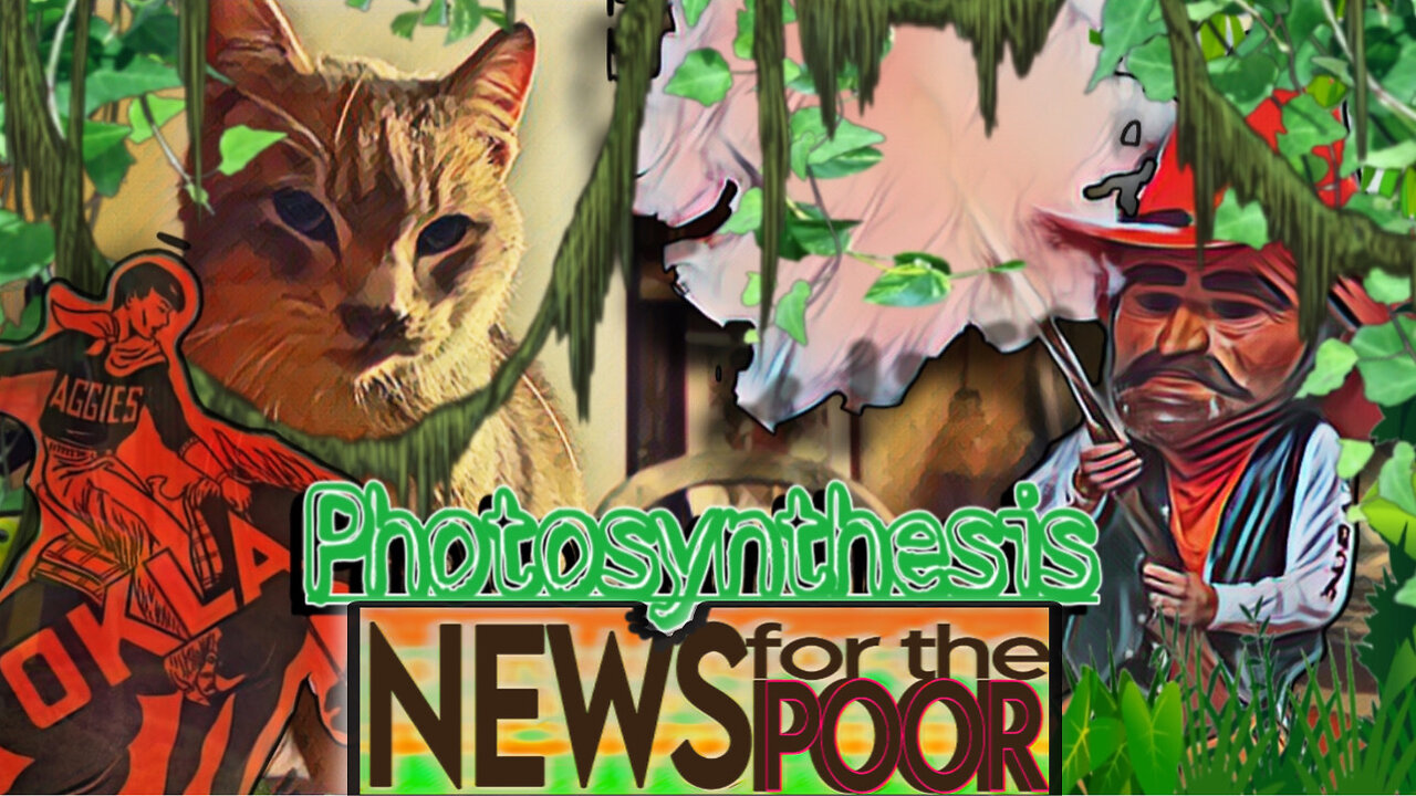 Photosynthesis SCIENCE NEWS for the Poor