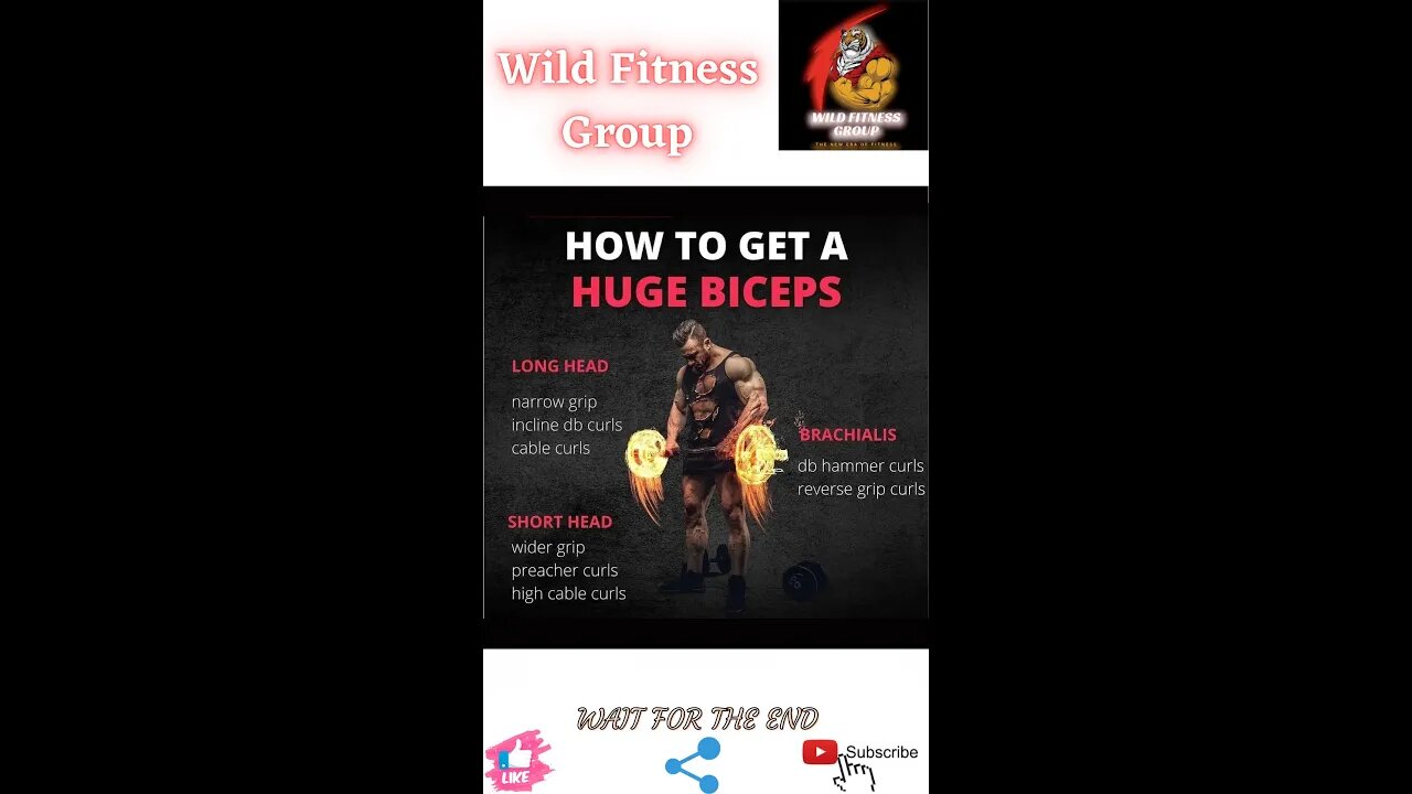 🔥How to get a huge biceps🔥#shorts🔥#viralshorts🔥#fitnessshorts🔥#wildfitnessgroup🔥