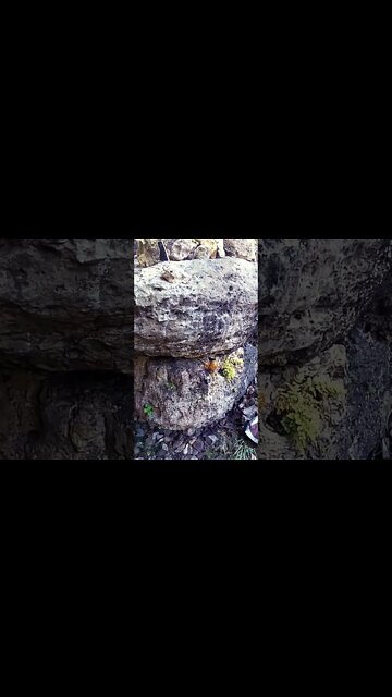 Mountain Mountain... can I take your place?