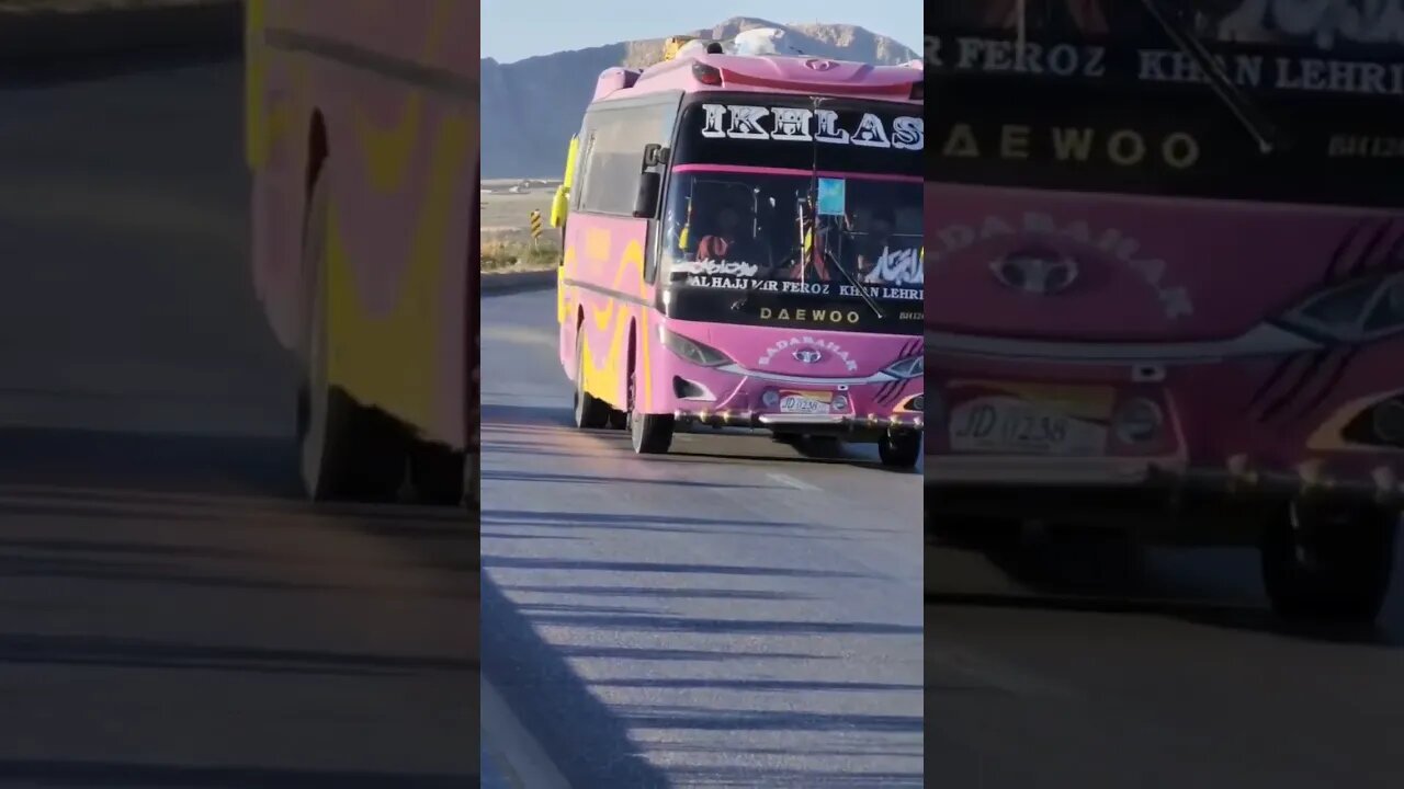 Beautiful Buses on Road