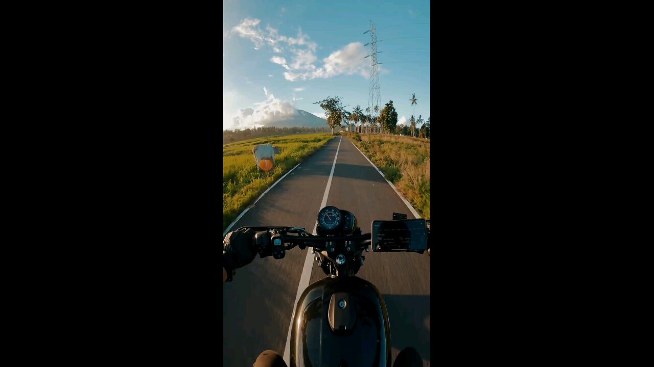 Day ride with golden rays