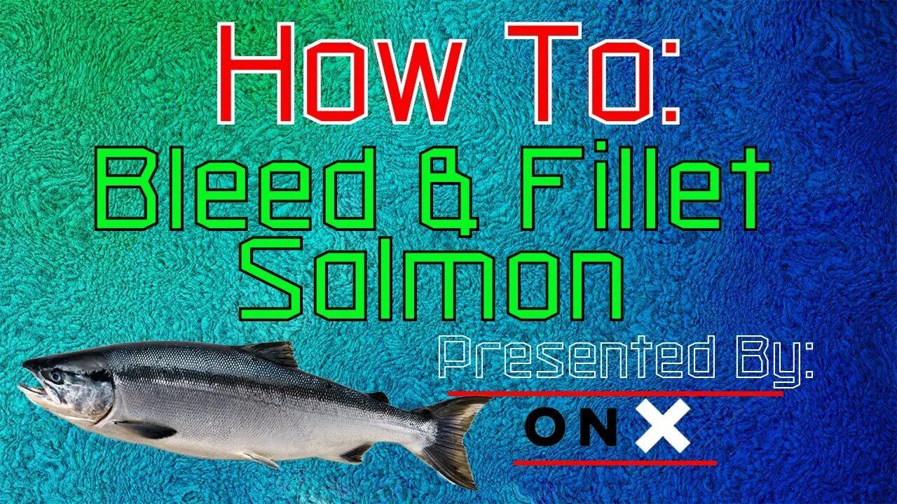 How To Bleed and Fillet Salmon