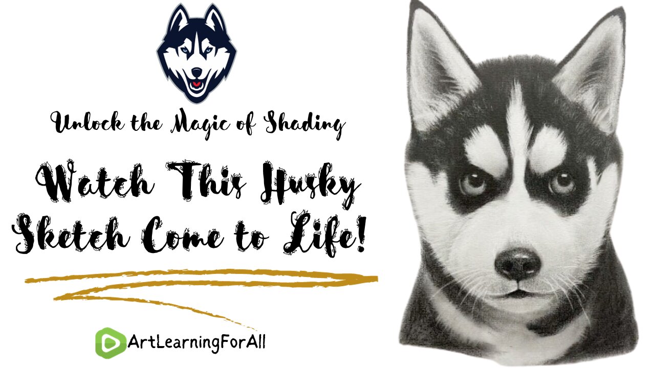 Unlock the Magic of Shading: Watch This Husky Sketch Come to Life! 🎨✨