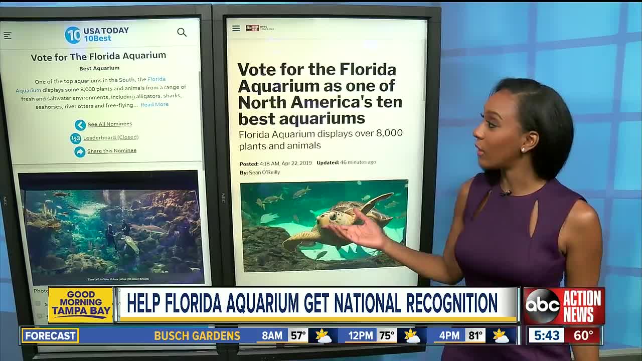 Vote for the Florida Aquarium as one of North America's ten best aquariums