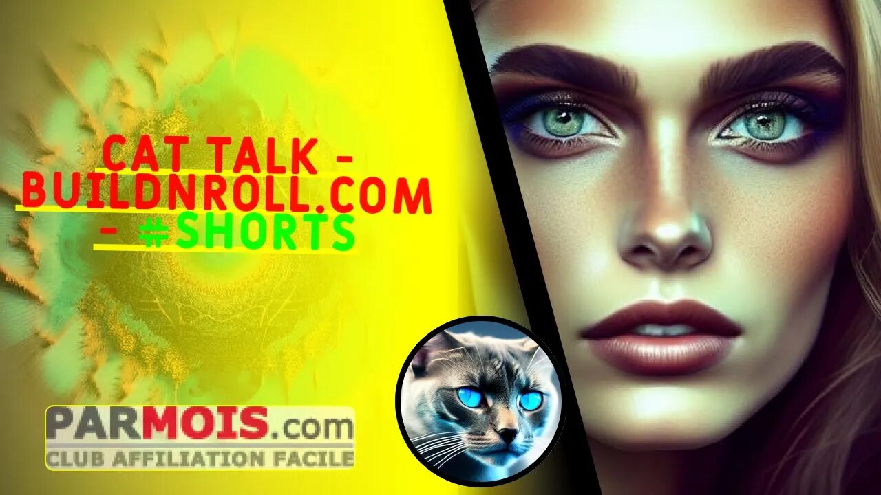 Cat Talk - BuildNRoll.com - #shorts