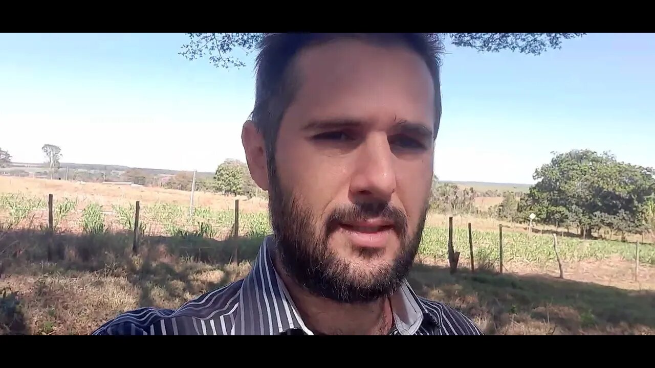 Perito Agenor Zapparoli - Minhas formações acadêmicas