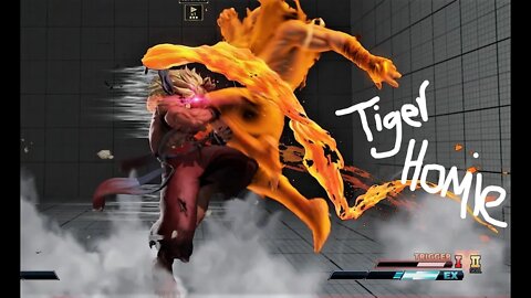 Taunt bait Raging Demon on Sagat Ex Tiger knee ERRRRRRRAUUGH!