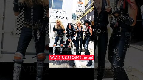 W.A.S.P line up (82-84) #musicchannel#musicnews#rockband#rockstory#musicstory#wasp#musichistory