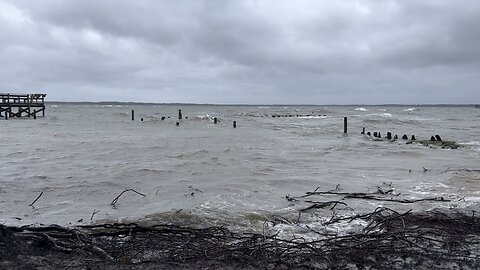 Tropical Storm Ophelia