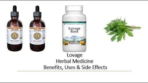 Lovage - Herbal Medicine - Benefits, Uses & Side Effects