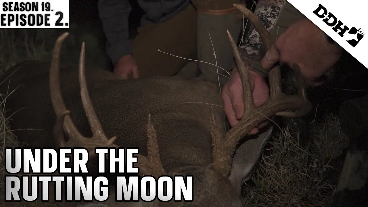 Under the Rutting Moon | DDHTV Season 19. Episode 2.