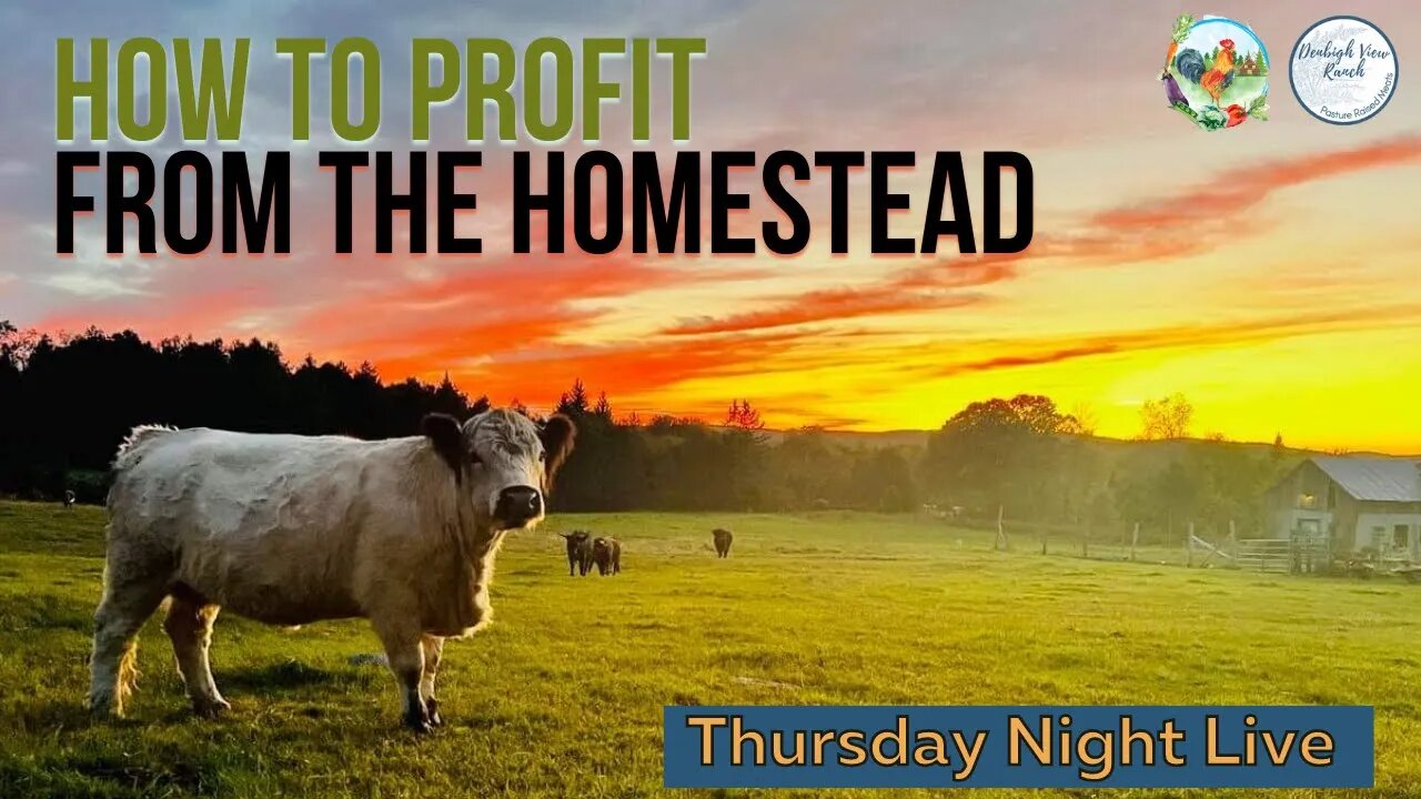 How to Profit from the Homestead