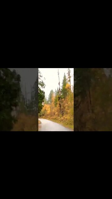 East Lake Drive. Christina Lake. #shorts