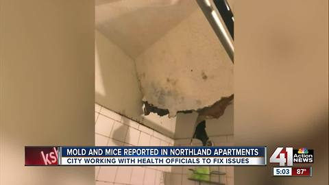 Residents angered with mold in apartment complex