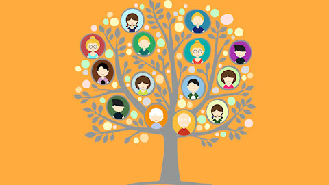 Biblical Insights: Jesus's Genealogies Revisited
