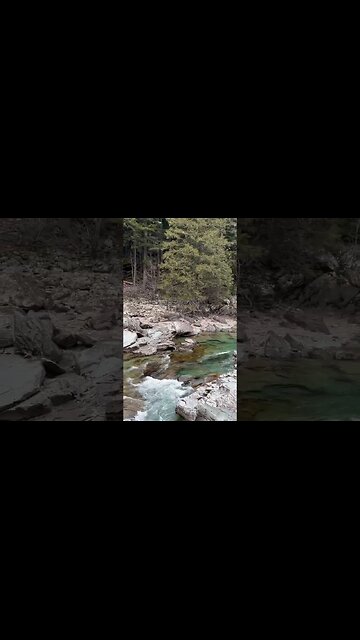 Avalanche Creek - Glacier ￼National Park Montana