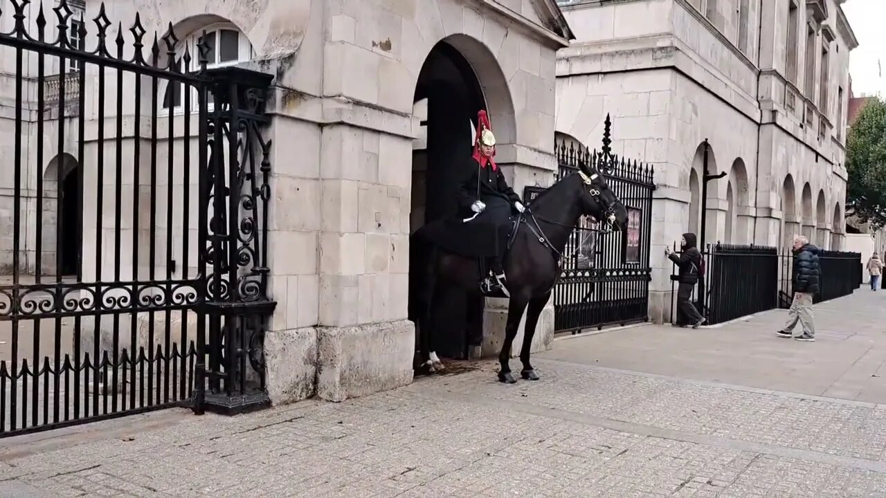 No dismount of the horse because of kings guards winter coate #horseguardsparade