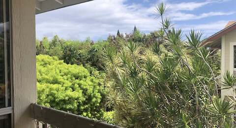 ALII LANI D201 - 3/2 CONDO FOR SALE