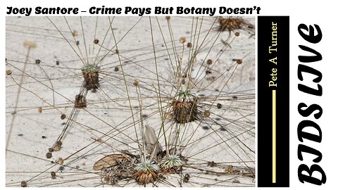 Joey Santore – Crime Pays But Botany Doesn’t