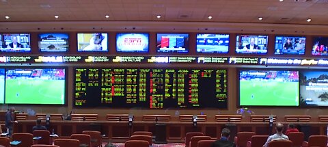 Vegas sportsbooks seeing more sports, bets