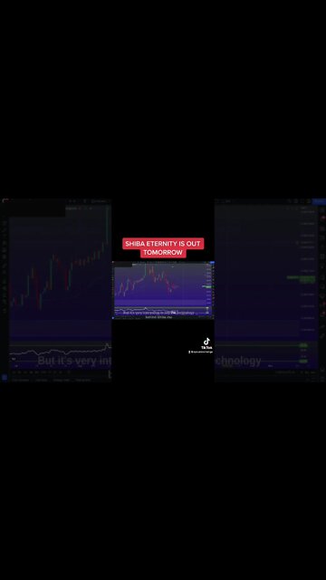 Shib Eternity IS DROPPING TOMORROW