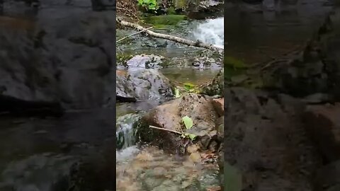 On our way up to McKeel Lake we stopped to see the numerous little falls along the way