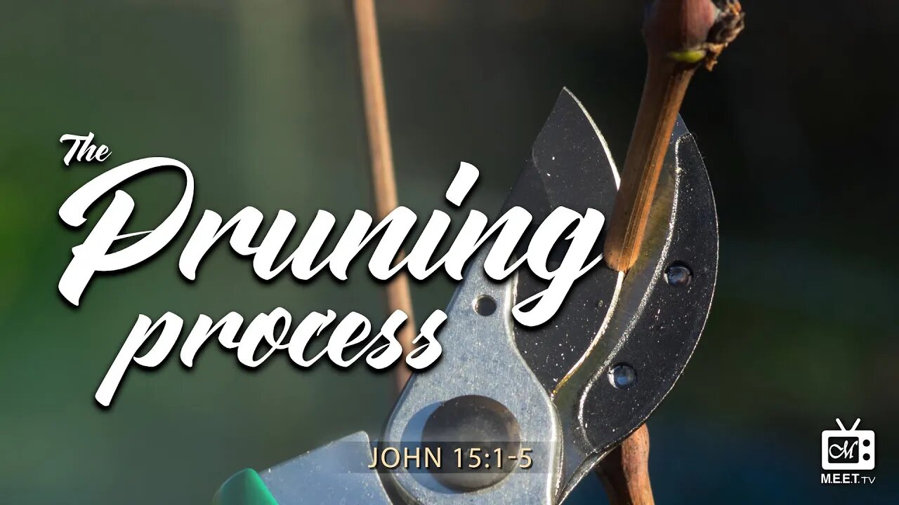 The PRUNING Process | Dr. Thomas Jackson