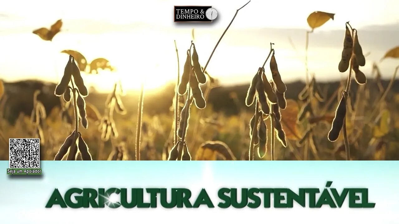 Agricultura Sustentável - Com Frederico Olivi