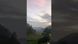 Heavenly morning sounds