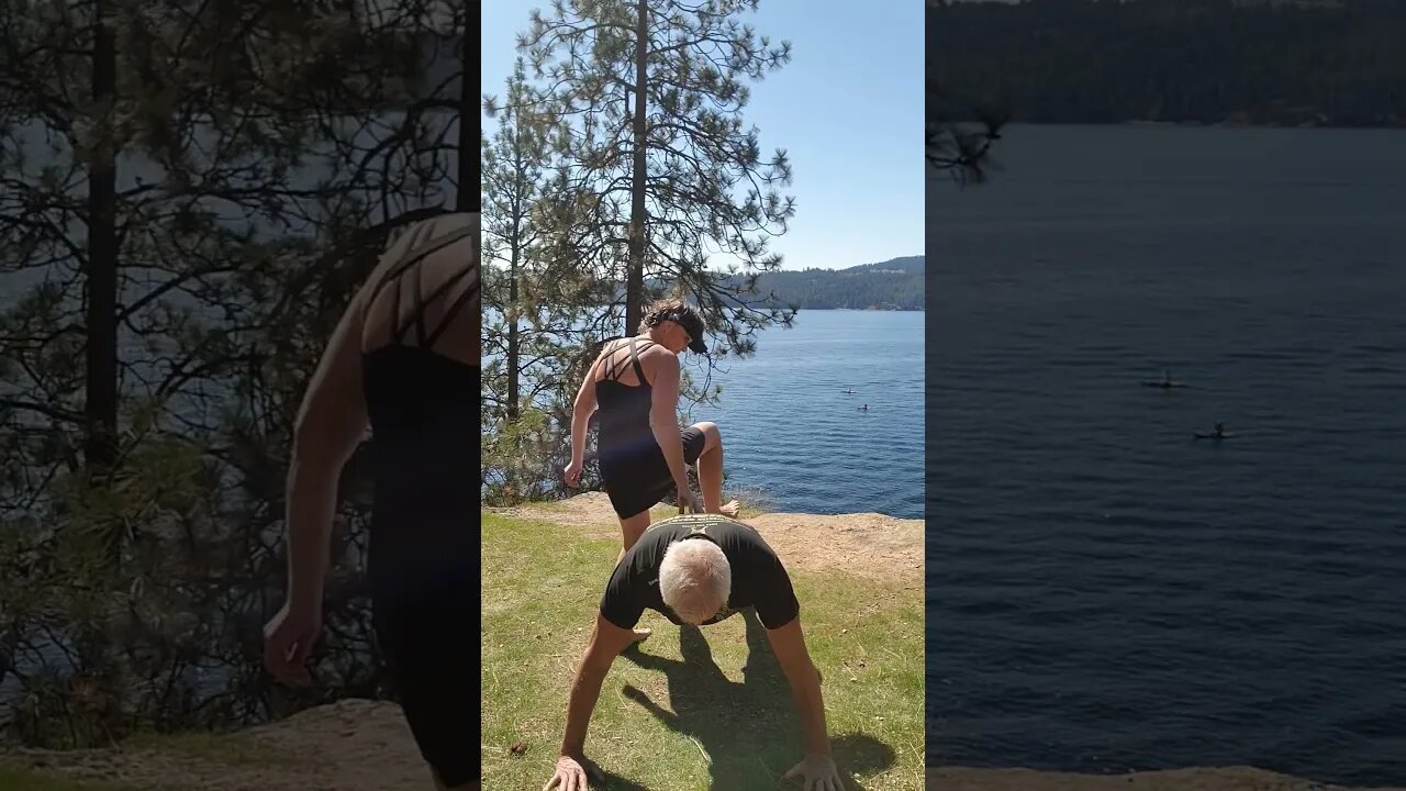 bodyweight pushups?