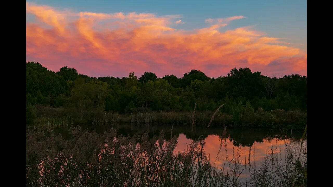 Serene, Nature Reflections with Rain for Peace, Relaxation, Sleep and Stress Relief for Your Weekend