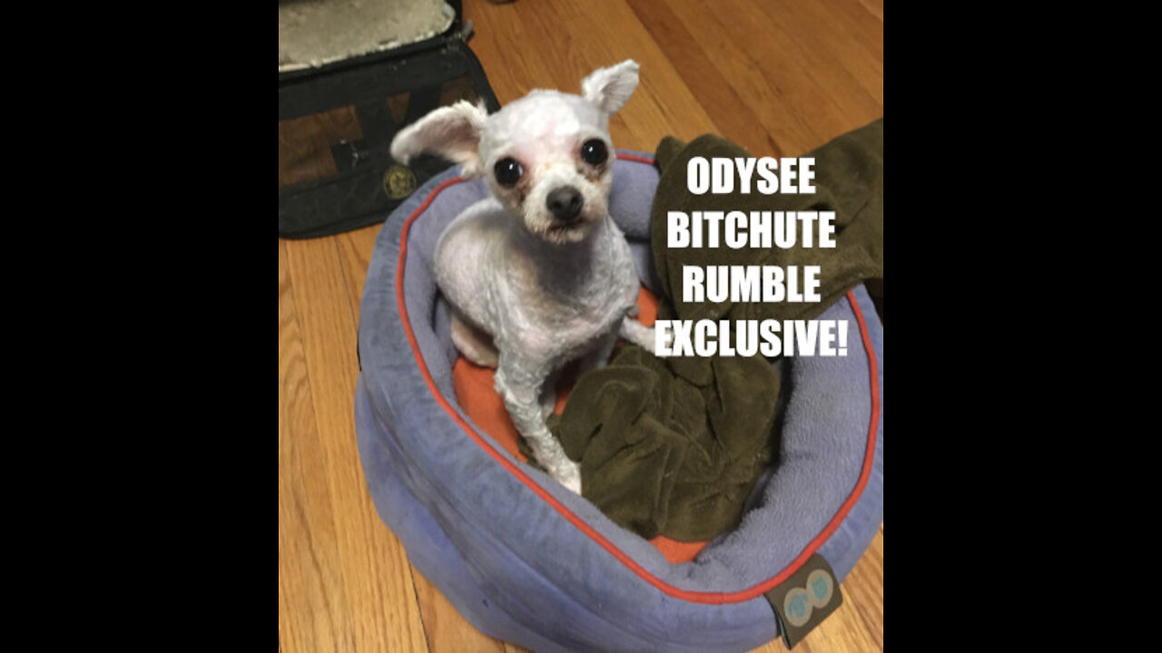 Rumble/Odysee/Bitchute Exclusive Hot Take: Feb 28th 2022 News Blast!