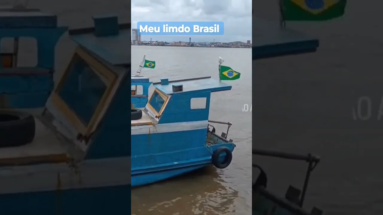 Meu lindo Brasil não troco vice por outros mil