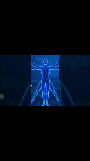 Chakra Alignment & Healing: Embrace Inner Harmony