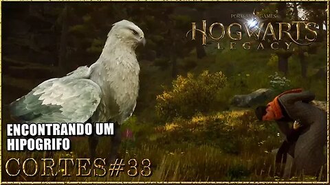 HOGWARTS LEGACY[CORTE#33]FAZENDO AMIZADE COM UM HIPOGRIFO #hogwartslegacybrasil #tomoyosan #gameplay