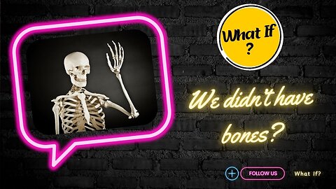 What if we didn't have bones?
