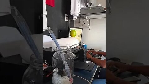 DIFERENÇA DE LARANJAS