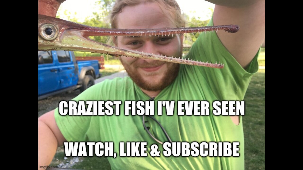 Crazy man eating Long Nose Gar