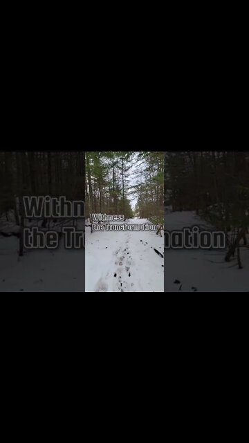 #outnow #newrelease #bitchute #ytshorts #vlog