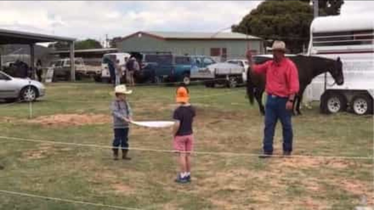 Cowboy demonstrerer fantastisk ferdighet med pisk