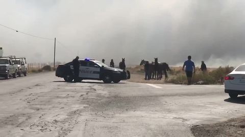 Horses escape fire along Cottonwood Road